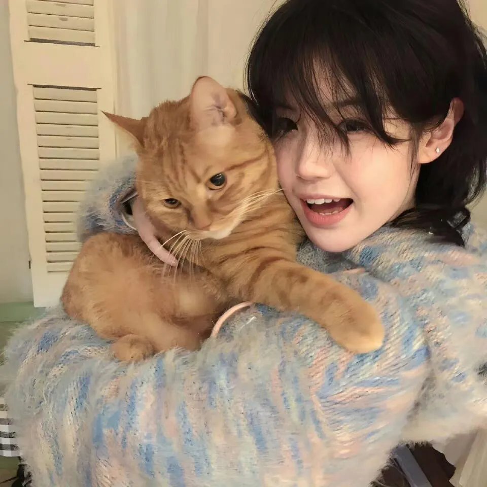 猪扒大联盟